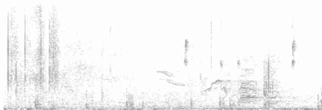 Вилохвостый тиранн - ML554436091
