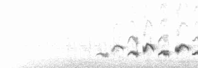 Western Orphean Warbler - ML554477401