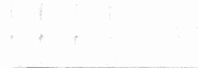svarthvit fluesnapper - ML554491371