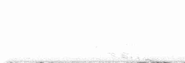 Sharp-tailed Grouse - ML554520621
