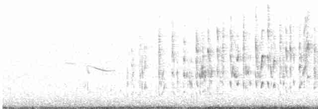 Marsh Wren (palustris Group) - ML554522841