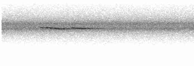 White-crowned Forktail (Javan) - ML554538671