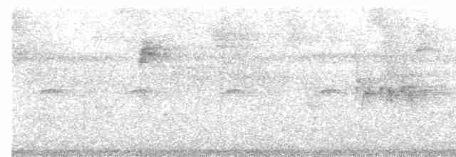 Kara Gerdanlı Çıtkuşu - ML554542211