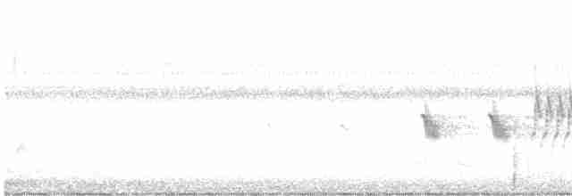 pipilo rudooký (ssp. alleni/rileyi) - ML554546191