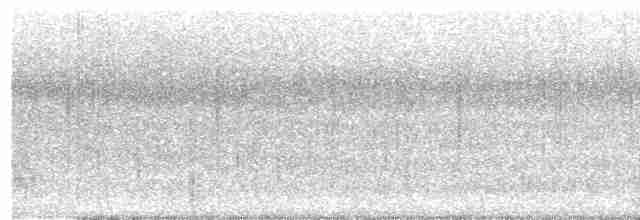 Мускусная утка (Одомашенного типа) - ML554567101