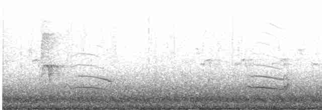 potápka žlutorohá - ML554853191