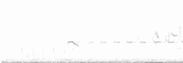Little Ringed Plover - ML555047121
