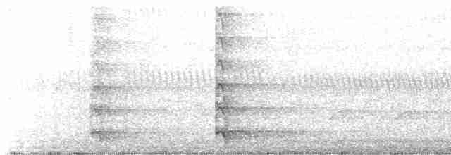 riksetrane (pictus gr.) - ML555115011
