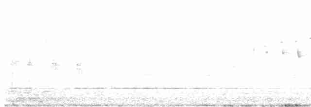 Paruline à calotte noire (chryseola) - ML555119611