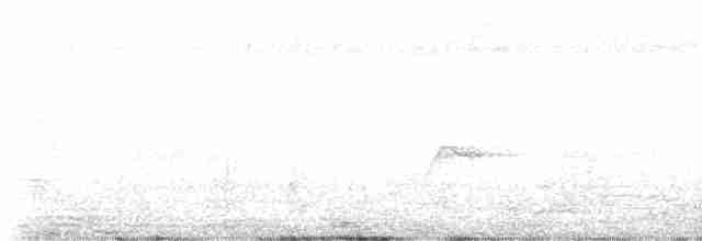 holub neotropický - ML555135421