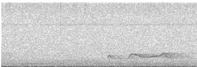 Belizenachtschwalbe - ML555136641