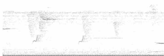 Kara Gerdanlı Çıtkuşu - ML555162761