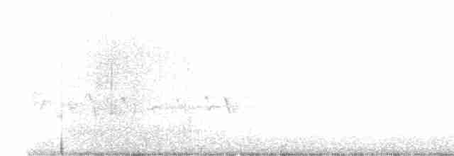 hýl rudoprsý [skupina mexicanus] - ML555193551