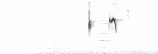 Tukangbesi Nektarkuşu - ML555201011