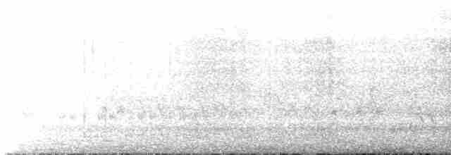 Бледногорлый миарх - ML555210451