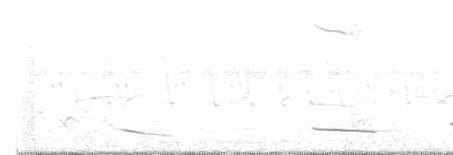 Oriole d'Audubon - ML555233611