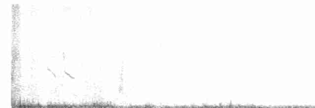 Короткоклювый бекасовидный веретенник (griseus) - ML555259551