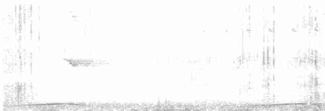 holub filipínský - ML555306171