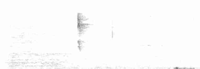 Paruline à calotte noire (chryseola) - ML555313731