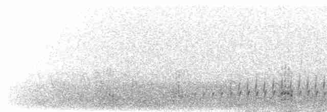 ústřičník dlouhozobý - ML555317071