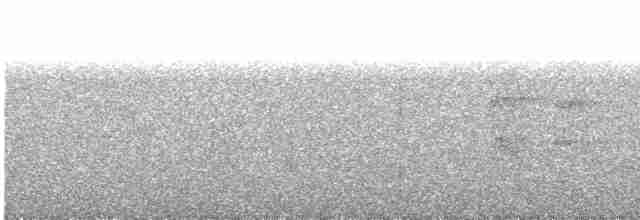 Gray-throated Barbet - ML555325831