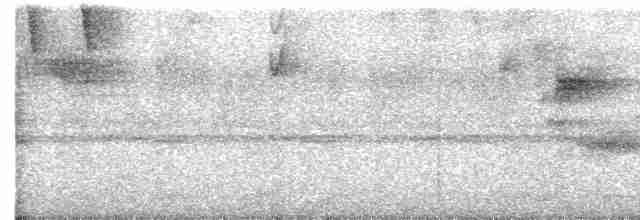 Lattice-tailed Trogon - ML555333931