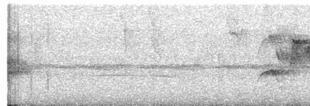 Lattice-tailed Trogon - ML555334471