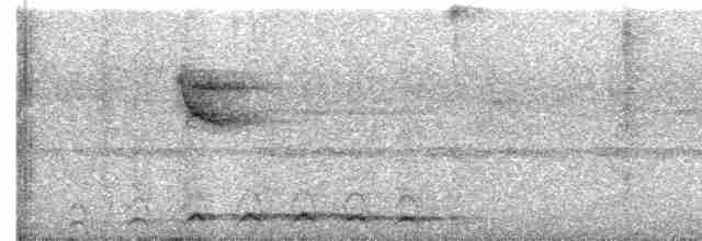 Lattice-tailed Trogon - ML555335061