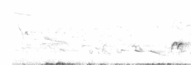 Turuncu Başlı Ardıç - ML555342661