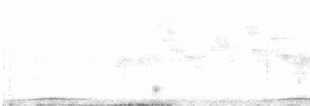 Philippine Cuckoo-Dove - ML555370931