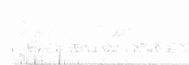 Чернокрылый личинкоед-свистун - ML555436171