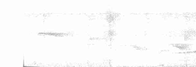 Kara Gerdanlı Çıtkuşu - ML555465971