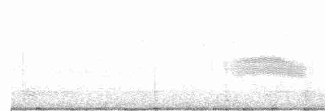 European Greenfinch - ML555499291