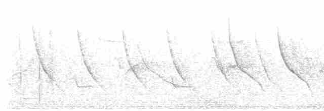 Трупіал плямистоволий - ML555761611