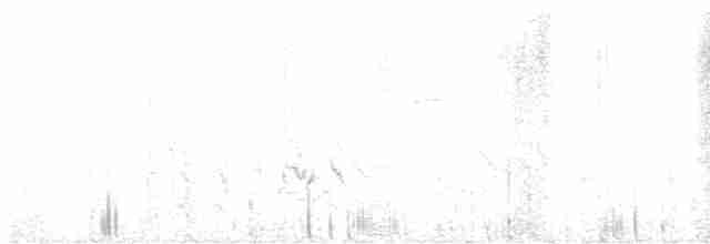 Елепайо гавайський (підвид bryani) - ML555762881