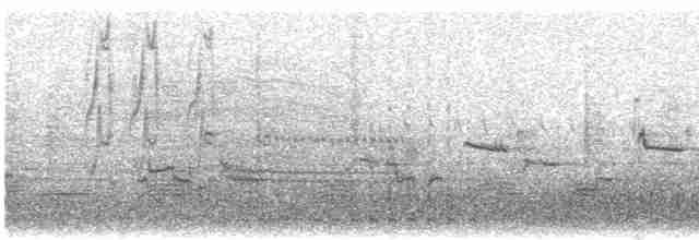 Sturnella meadowlark sp. - ML555821021