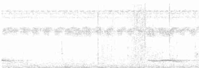 holub pásochvostý - ML555871641