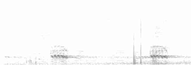 White-cheeked Barbet - ML555901081