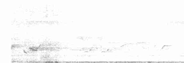 Серый петух - ML555904091