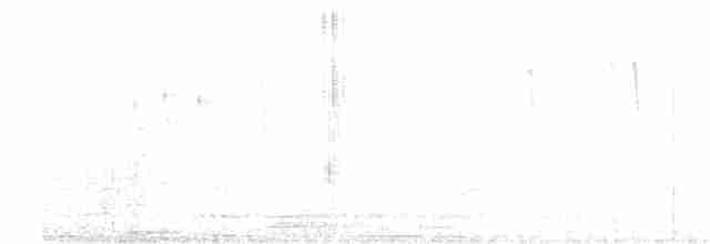 Haubenschlangenadler - ML555905901