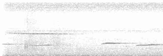 Кустарниковая кукушка (sepulcralis/everetti) - ML555910681