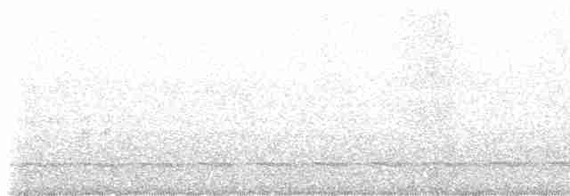 Chestnut-bellied Partridge - ML555916981