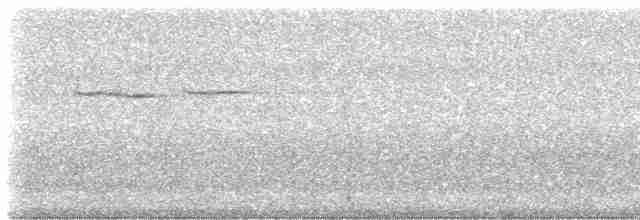 White-crowned Forktail (Javan) - ML555918661