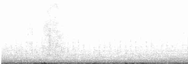 Зондский чирок - ML555918841