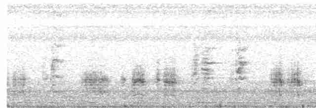 Great Reed Warbler - ML555953181