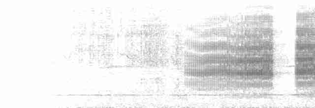  - Fire-tufted Barbet