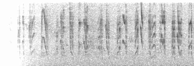  - Venezuelan Flowerpiercer