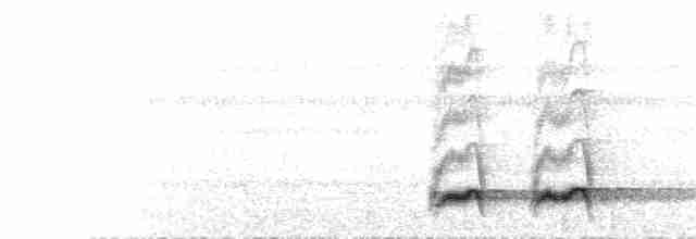  - Eastern Hooded Pitta