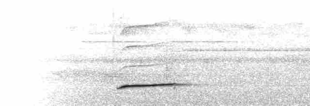  - Rufous-collared Kingfisher