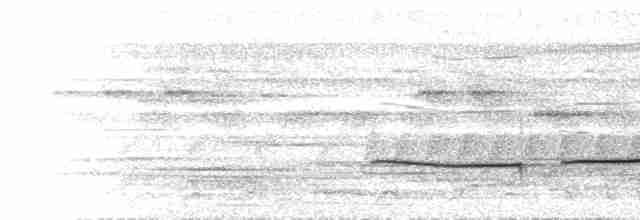  - Sooty-capped Babbler